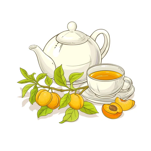 Abrikoos Thee Vectorillustratie Witte Backgrond — Stockvector