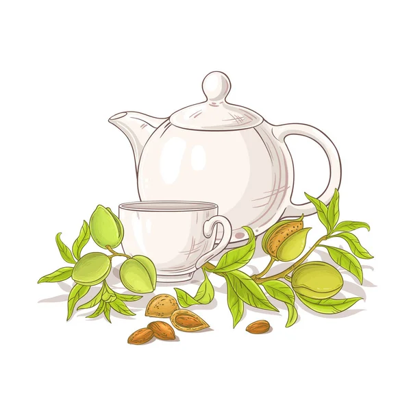 Csésze Mandulás Tea Teáskannát Fehér Háttér — Stock Vector