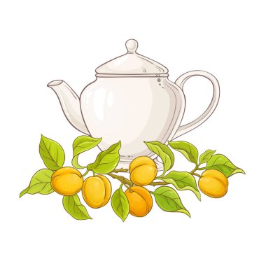 kayısı çayı vektör çizim üzerinde beyaz backgrond