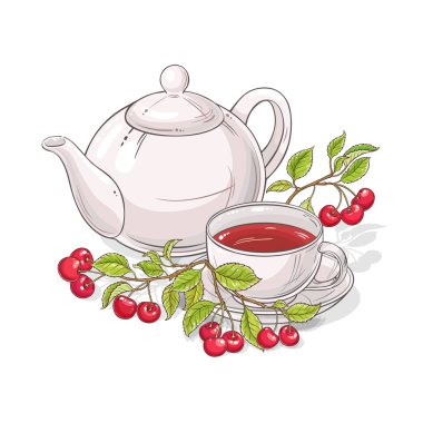 kiraz çay vektör çizim beyaz arka plan üzerinde