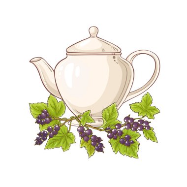 Beyaz arka planda siyah frenk üzümü çay vektör çizim