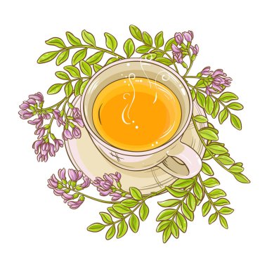 astragalus çay resimde beyaz arka plan üzerinde fincan