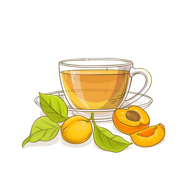白底杯杏茶插图 — 图库矢量图片