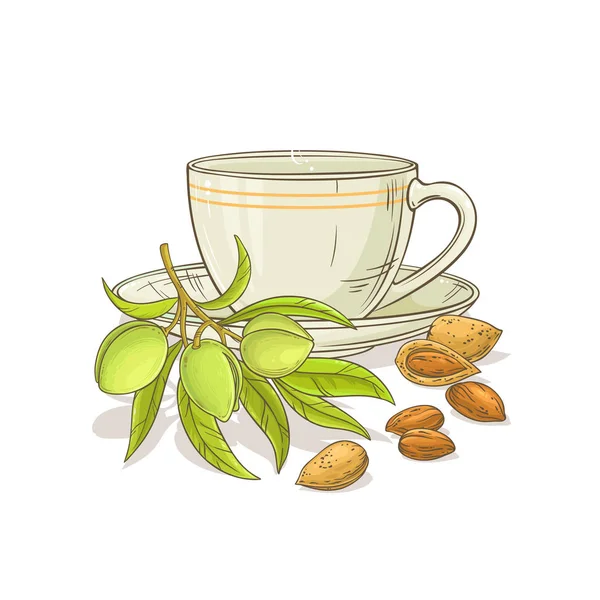Чашка Ілюстрації Мигдалевого Чаю Білому Фоні — стоковий вектор