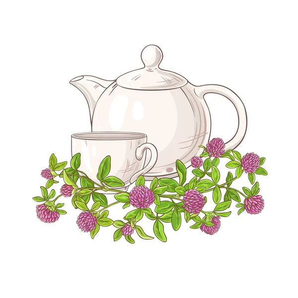 Чай Клевер Чайник Иллюстрации Белом Фоне — стоковый вектор