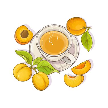 beyaz zemin üzerine kayısı çayı illüstrasyon fincan