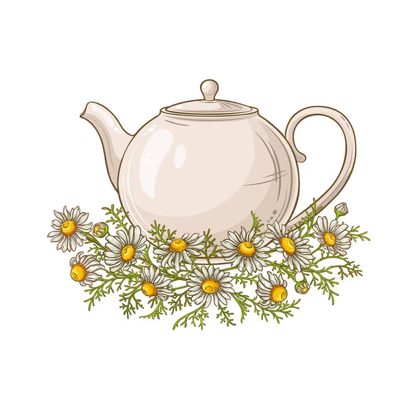 Chamomile Tea Teapot Illustration White Background — Stock Vector