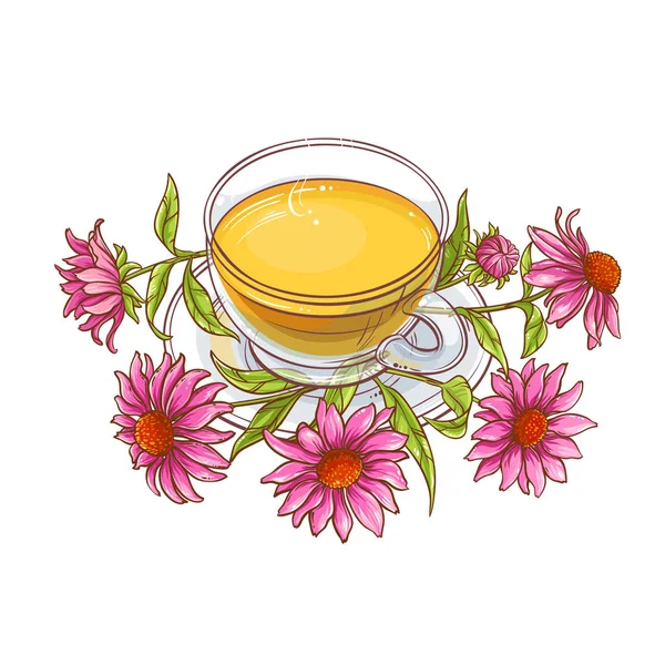 白色背景的紫锥菊杯茶插图 — 图库矢量图片