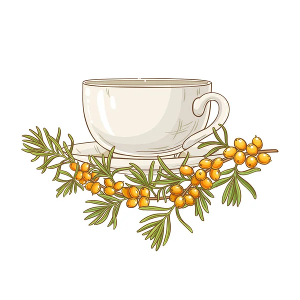 Tengeri Homoktövis Tea Illusztráció Fehér Háttér — Stock Vector