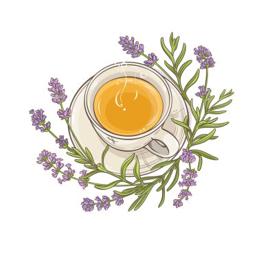 Lavanta çay resimde beyaz arka plan üzerinde fincan