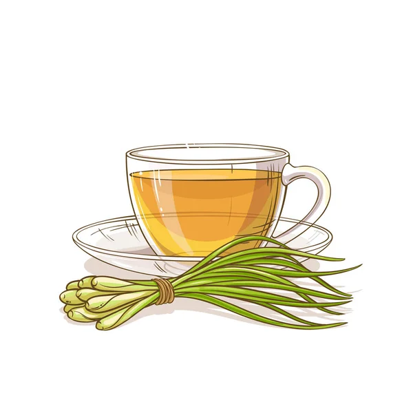 Κούπα Λεμονόχορτο Τσάι Εικονογράφηση Λευκό Φόντο — Διανυσματικό Αρχείο
