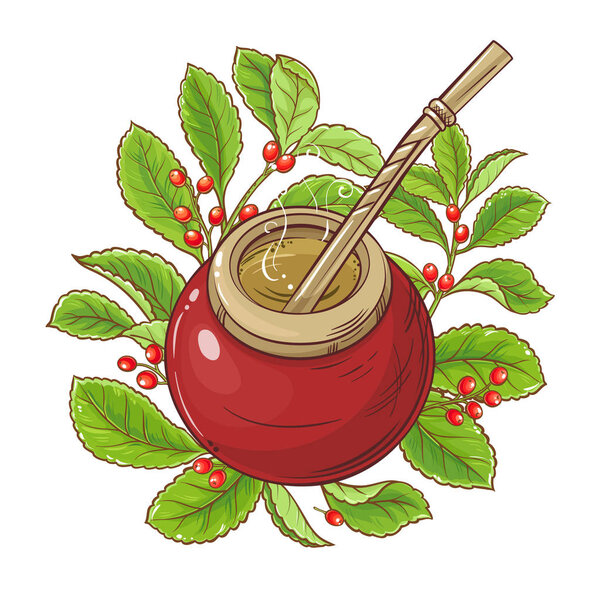 mate tea vector illustration on white background