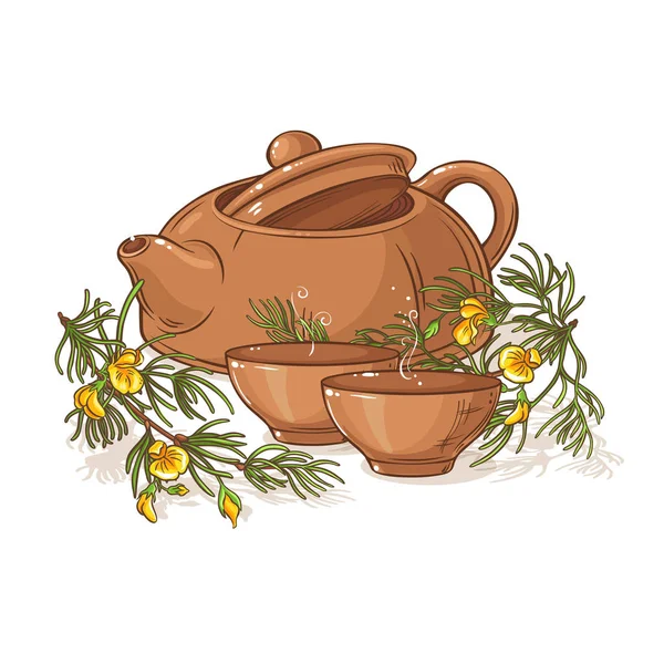 Rooibos Чай Чайник Иллюстрация Whte Фоне — стоковый вектор