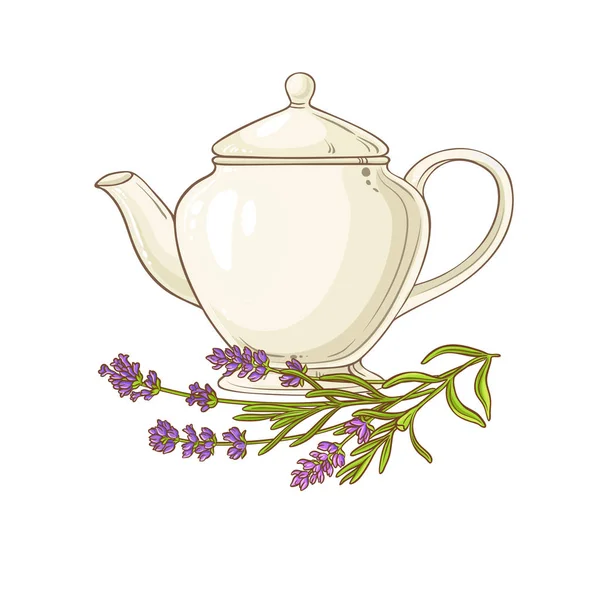 Лавандовый Чай Чайник Иллюстрации Белом Фоне — стоковый вектор