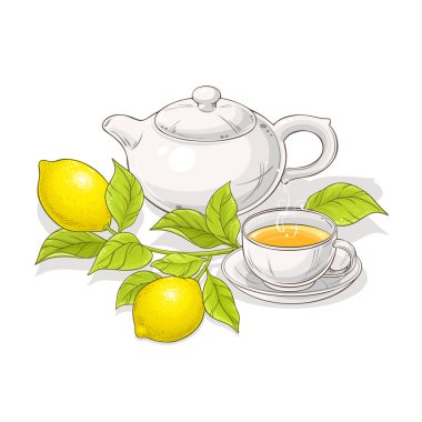 Limonlu çay çaydanlık çizimde beyaz arka plan üzerinde