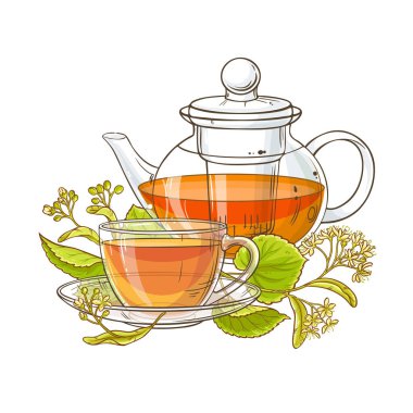 Ihlamur çay çaydanlık vektör çizim beyaz arka plan üzerinde