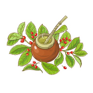 Mate çay vektör çizim beyaz arka plan üzerinde