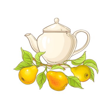 armut çay çaydanlık çizimde beyaz arka plan üzerinde