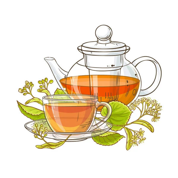 Ihlamur Çay Çaydanlık Vektör Çizim Beyaz Arka Plan Üzerinde — Stok Vektör