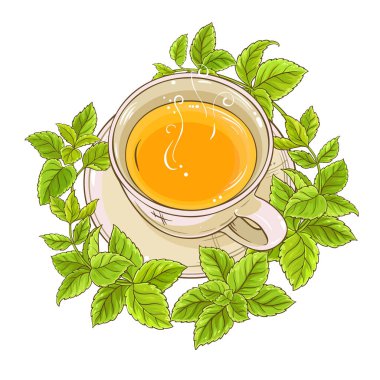 melissa çayı resimde beyaz arka plan üzerinde fincan