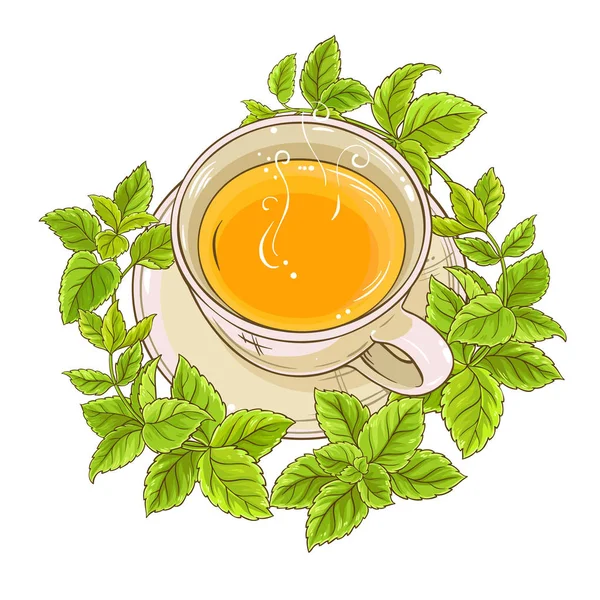 melissa çayı resimde beyaz arka plan üzerinde fincan