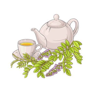 licorice herbal tea illustration on white background clipart