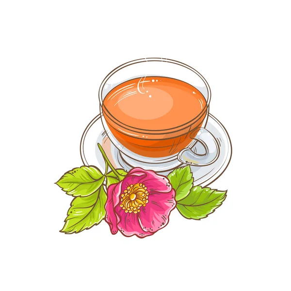 köpek rose çay resimde beyaz arka plan üzerinde