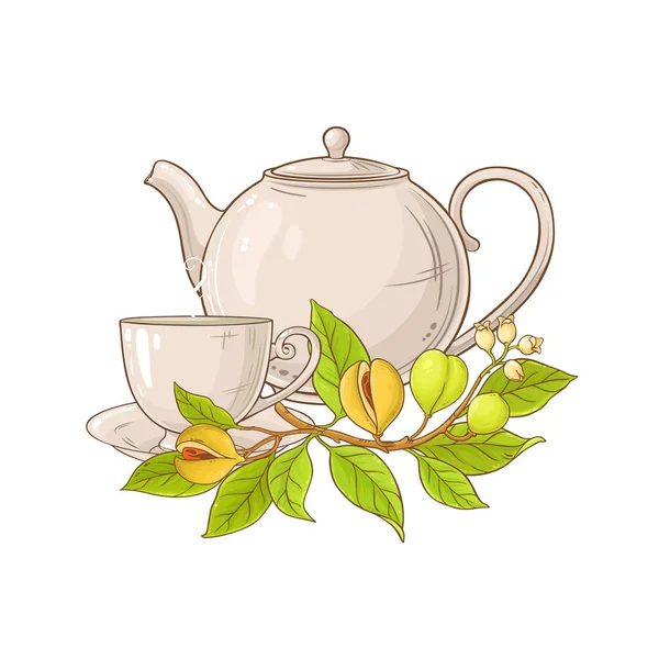 Küçük Hindistan Cevizi Çay Çaydanlık Çizimde Beyaz Arka Plan Üzerinde — Stok Vektör