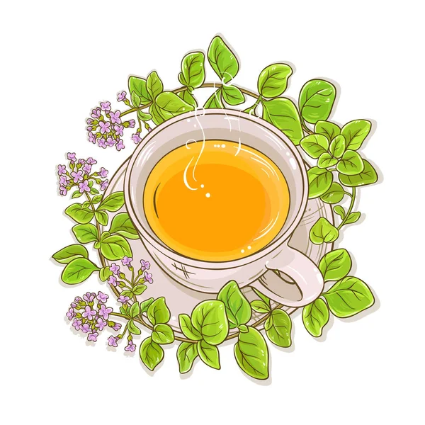 Oregánó Gyógynövény Tea Illusztráció Fehér Háttér — Stock Vector