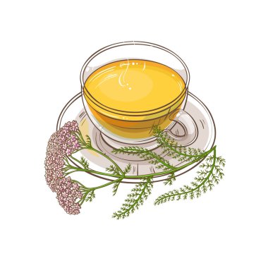 fincan civanperçemi çayı resimde beyaz arka plan üzerinde