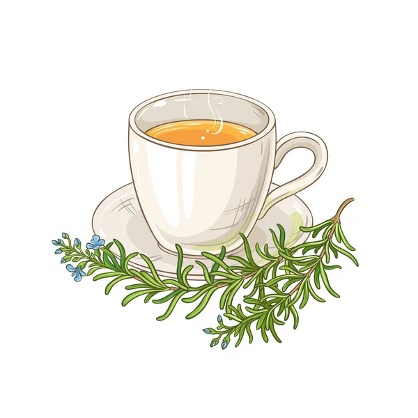 Biberiye çayı resimde beyaz zemin üzerine bir fincan