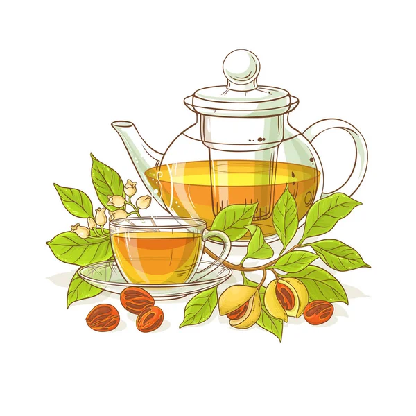 Мускатний Чай Чайнику Ілюстрація Білому Фоні — стоковий вектор