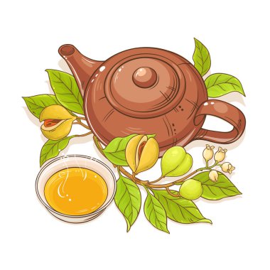 Küçük Hindistan cevizi çay çaydanlık çizimde beyaz arka plan üzerinde