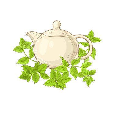 nane çayı vektör çizim beyaz arka plan üzerinde