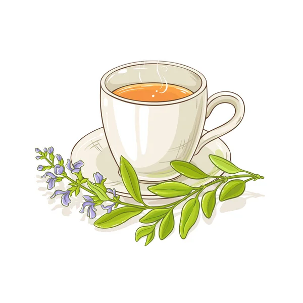 Becher Salbeitee Illustration Auf Weißem Hintergrund — Stockvektor