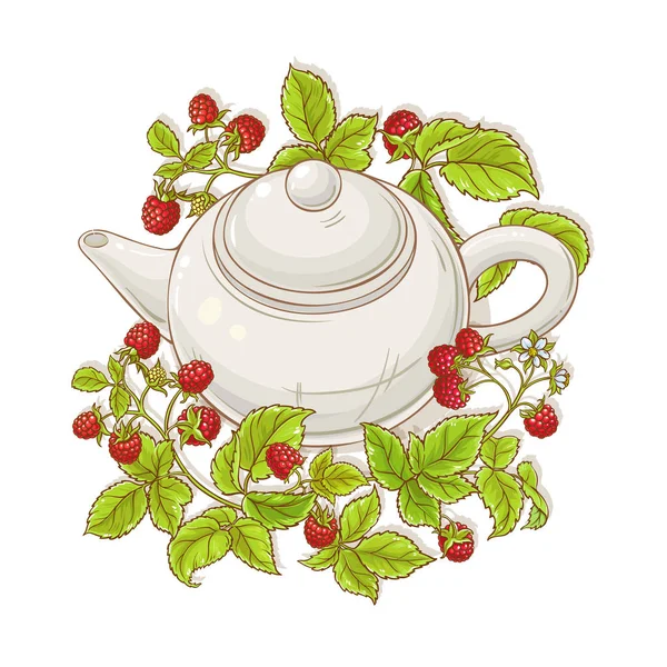 Ahududu Çay Çaydanlık Çizimde Beyaz Arka Plan Üzerinde — Stok Vektör