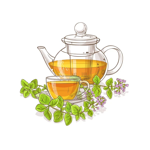 Чай Орегано Чайник Иллюстрации Белом Фоне — стоковый вектор