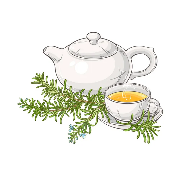 Whte 背景下茶壶插图中的迷迭香茶 — 图库矢量图片