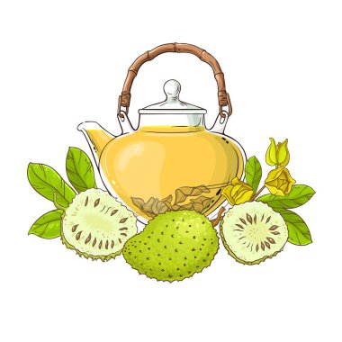 soursop çay çaydanlık çizimde beyaz arka plan üzerinde