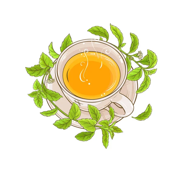 Puchar Stevia Herbata Ilustracja Białym Tle — Wektor stockowy