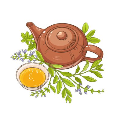 adaçayı çay vektör çizim beyaz arka plan üzerinde