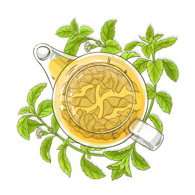 Stevia çay çaydanlık çizimde beyaz arka plan üzerinde