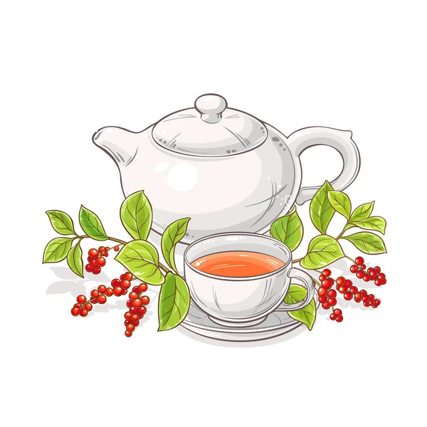 Schisandra Tea Teáskanna Ábrán Látható Fehér Alapon — Stock Vector