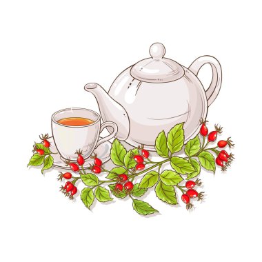 Beyaz arka plan üzerinde yabani gül çay illüstrasyon