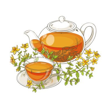 tutsan tea in teapot illustration on white background clipart