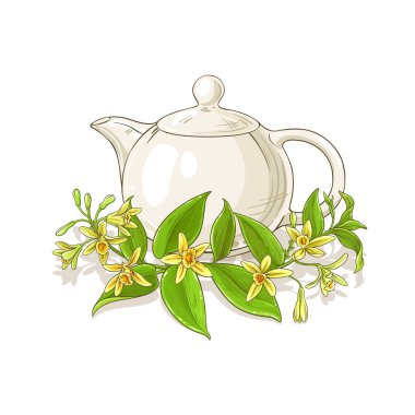 beyaz zemin üzerine vanilya çay illüstrasyon