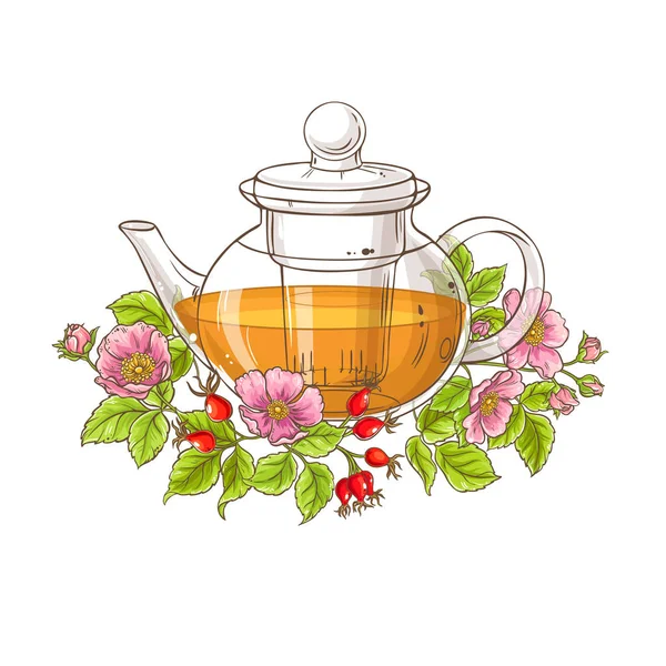 Beyaz arka plan üzerinde yabani gül çay illüstrasyon