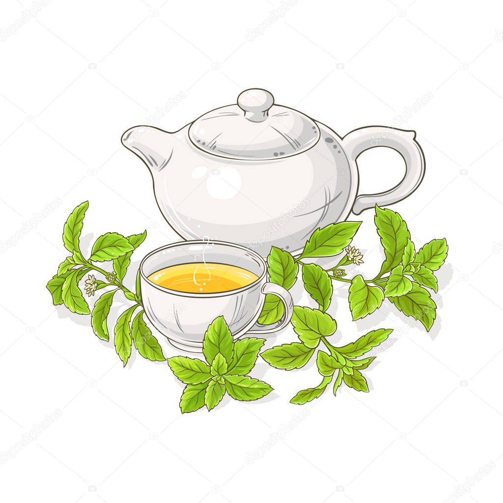 stevia tea in teapot illustration on white background