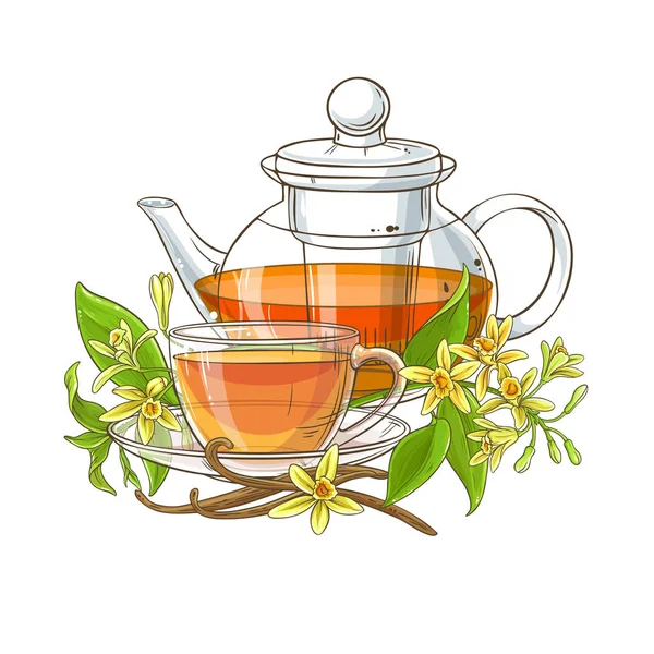 Waniliowy Herbata Ilustracja Białym Tle — Wektor stockowy