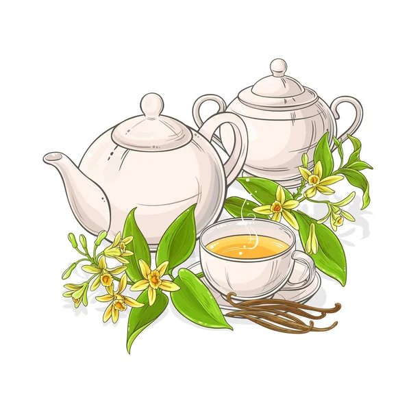 Vanilla Tea Illustration White Background — Stock Vector